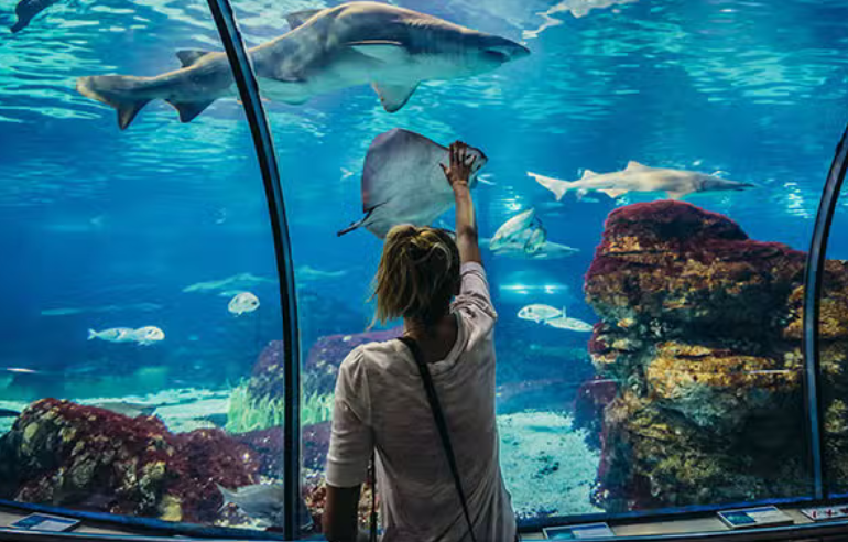 Aquarium de Barcelona